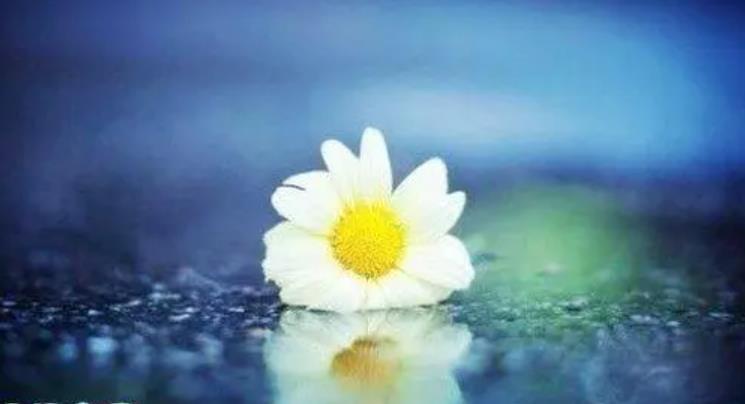 和自己的妈妈性格不合怎么办,六十岁夫妻性格不合怎么办