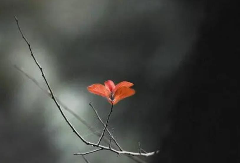 和自己的妈妈性格不合怎么办,六十岁夫妻性格不合怎么办