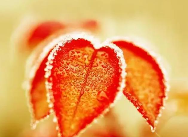 打招呼撩人的第一句话,高情商早上打招呼