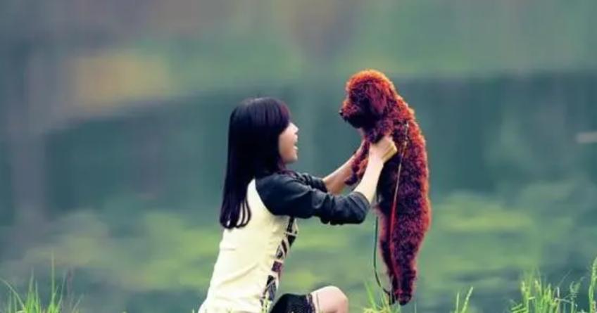 为何狗和人能如此亲近,怎么和狗狗快速亲近