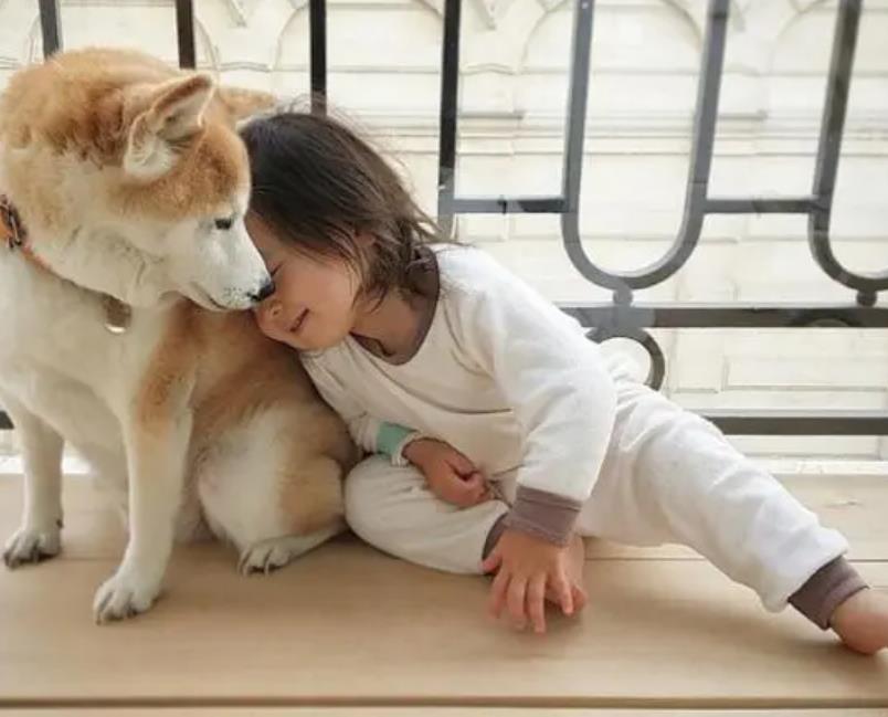 为何狗和人能如此亲近,怎么和狗狗快速亲近