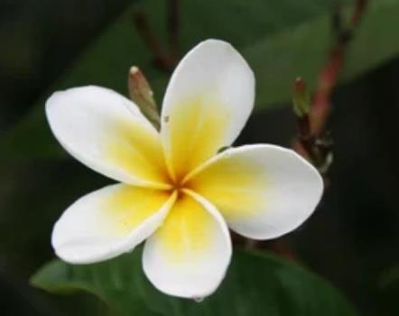 亲姐妹不来往好吗,亲兄弟不来往好不好