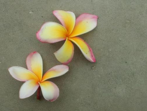 亲姐妹不来往好吗,亲兄弟不来往好不好