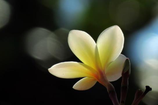 亲姐妹不来往好吗,亲兄弟不来往好不好