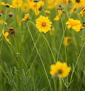 女婿出轨娘家该怎么办,生孩子娘家准备些什么