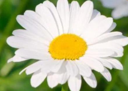 女婿出轨娘家该怎么办,生孩子娘家准备些什么