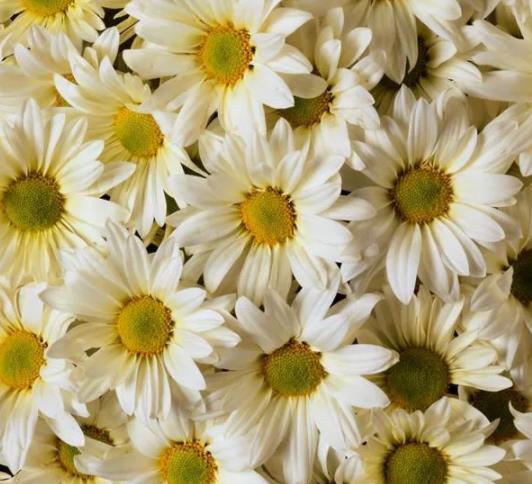 女婿出轨娘家该怎么办,生孩子娘家准备些什么