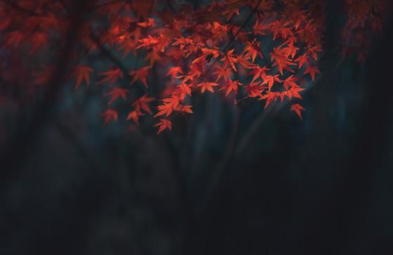 女人让男人按摩双肩意味什么