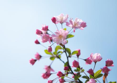 女人让男人按摩双肩意味什么