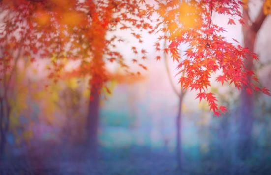 女人让男人按摩双肩意味什么