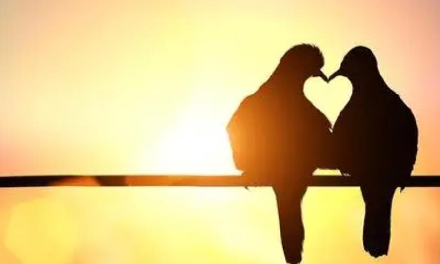 男人一旦被情人征服,想征服你的男人说明什么