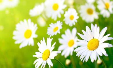 寡妇都是长寿的吗,到75岁算不算长寿