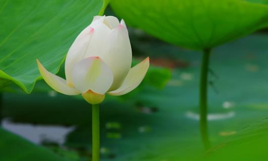 让欺负你的人永远怕你的绝招，孩子被同学欺负怎么办