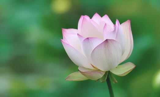 让欺负你的人永远怕你的绝招，孩子被同学欺负怎么办