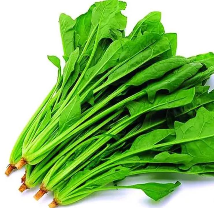 叶酸最多的菜排名，叶酸排名第一的蔬菜