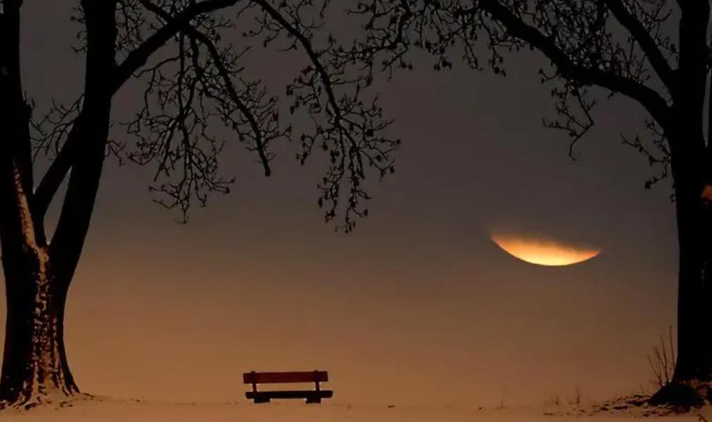 寡妇最怕的事,寡妇最怕什么样的人