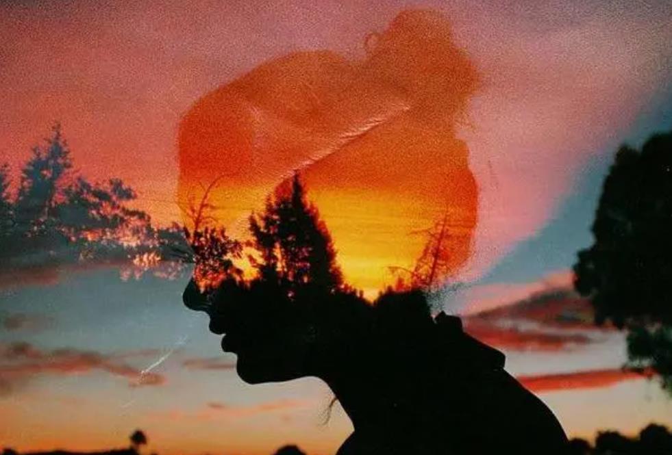 寡妇最怕的事,寡妇最怕什么样的人