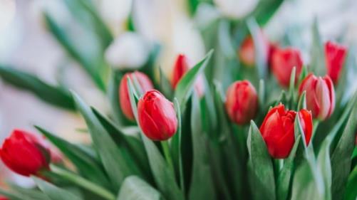 老年绿茶婊的特征,什么样的女人是绿茶