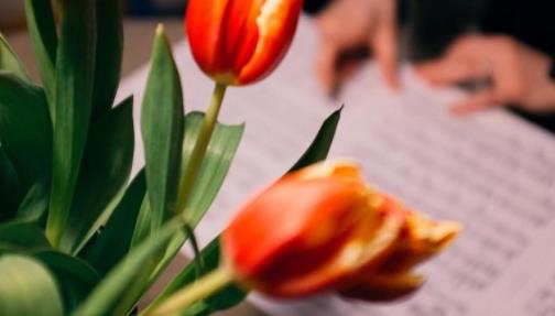 老年绿茶婊的特征,什么样的女人是绿茶