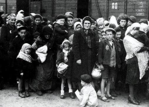 犹太人体毛特征,如何辨认女性犹太人