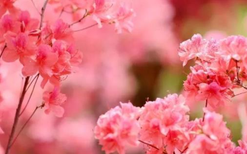 长寿男人面部特征，男人长寿不要找什么样女人