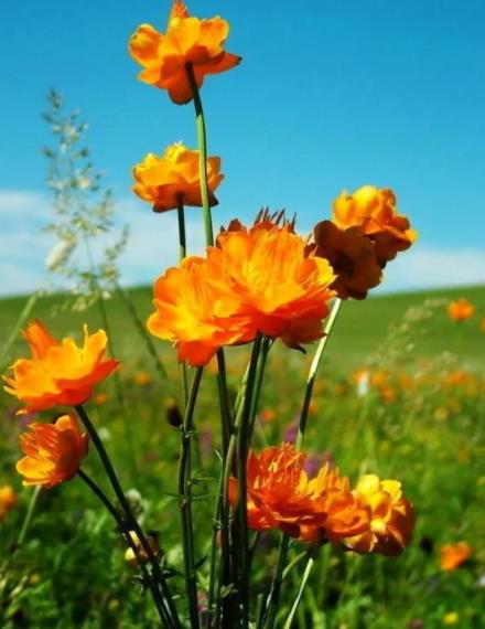 长寿男人面部特征，男人长寿不要找什么样女人