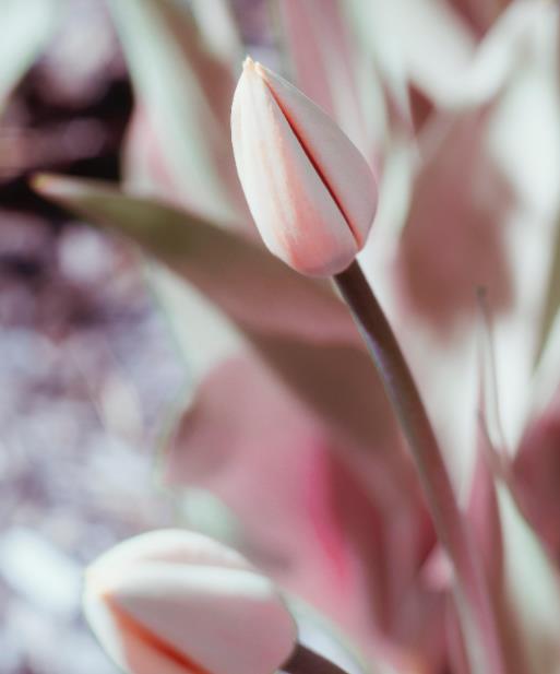 为什么女生在床上躺着还会觉得累