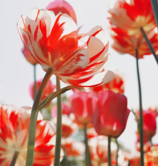 为什么女生在床上躺着还会觉得累