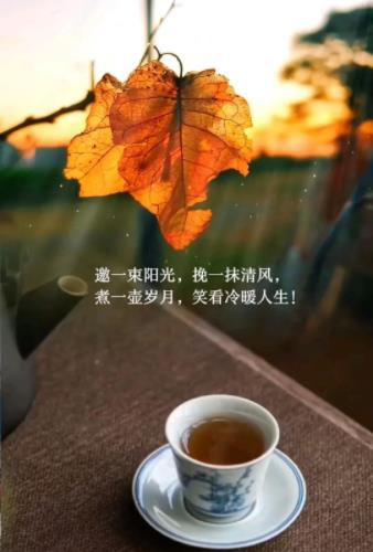 图不重要主要看字的图片