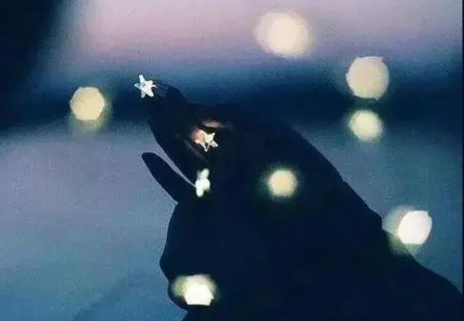 老公年纪大了占有欲特别强什么原因,年纪大了感悟最深的话