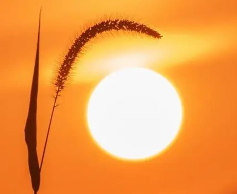 40岁女人心理弱点,怎么打破四十岁女人的戒备心理