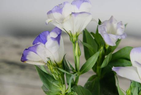 佛说女人衣服太多就是浪费吗,佛说梦里出现的人是挂念你的吗