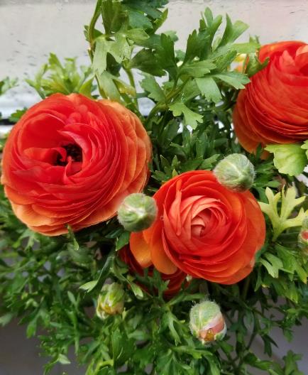 佛说女人衣服太多就是浪费吗,佛说梦里出现的人是挂念你的吗