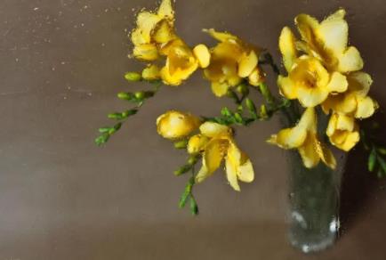 伴侣间情绪稳定真的很重要吗,伴侣之间如何提供正确的情绪价值