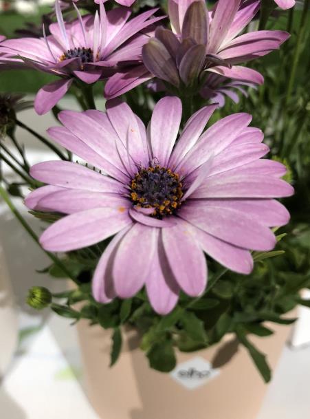 佛说女人衣服太多就是浪费吗,佛说梦里出现的人是挂念你的吗