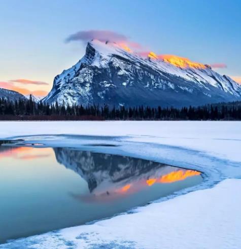 除了女人还有什么动物会来月经,羊多久来一次月经