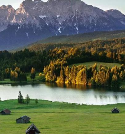 除了女人还有什么动物会来月经,羊多久来一次月经