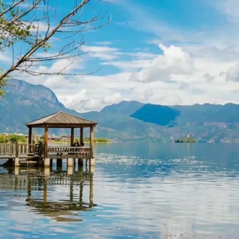 除了女人还有什么动物会来月经,羊多久来一次月经