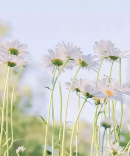 老年情人应怎样相处,老年情人约会一般去哪里最好