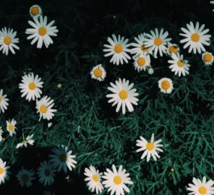 老年情人应怎样相处,老年情人约会一般去哪里最好