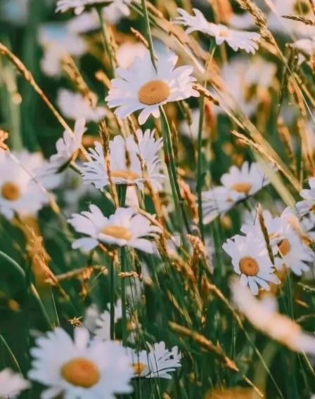 老年情人应怎样相处,老年情人约会一般去哪里最好