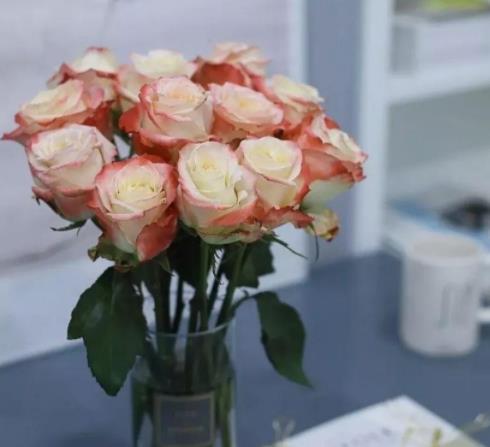 男人加女人微信的用意,男人主动加女人微信有什么目的