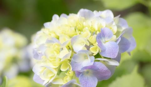 男人亲吻女人的禁忌,亲吻拥抱抚摸能产生多巴胺吗