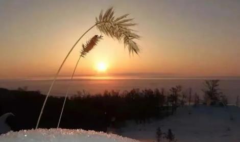 男人趴在女人怀里哭代表什么,男人趴在女人怀里女人说冷的寓意