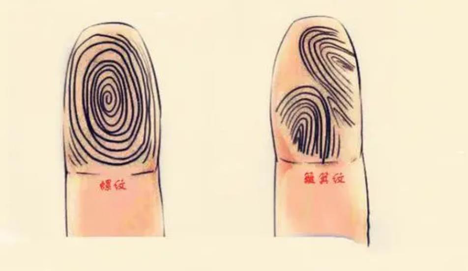 男人十个簸箕顺口溜，10个簸箕的男人姻缘怎么样