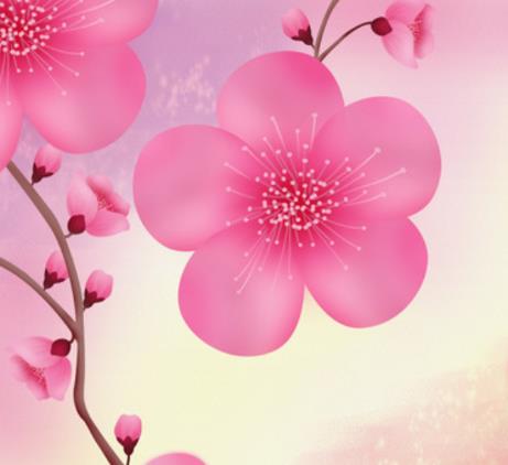 女孩阴历哪天出生好,属鸡农历几日生好命