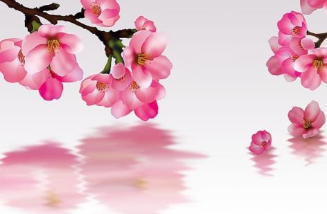 女孩阴历哪天出生好,属鸡农历几日生好命