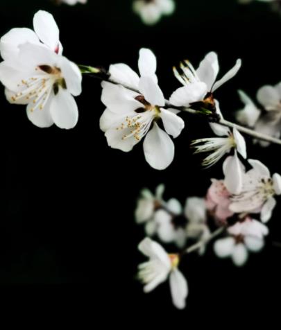 女人出轨的新鲜感会持续多久