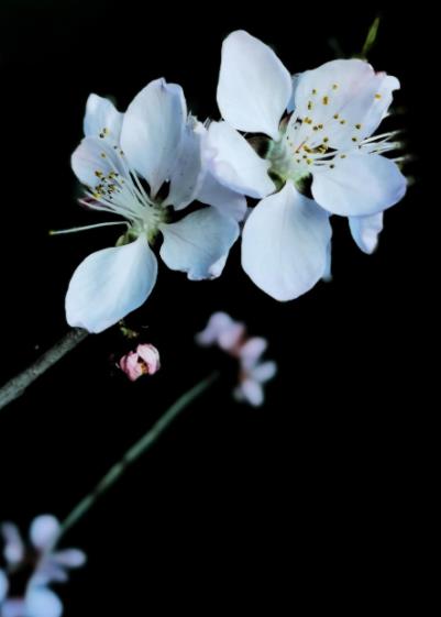 女人出轨的新鲜感会持续多久