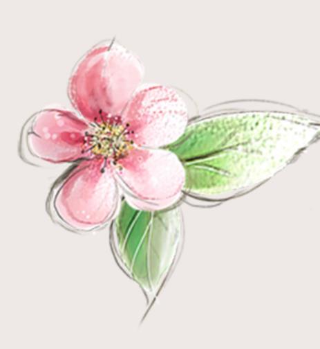 婶子与侄子的关系称呼，婶婶和侄子经常聊天正常吗